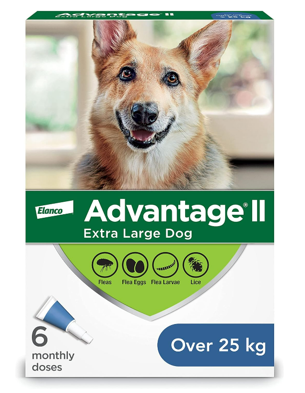 Canine Advantage