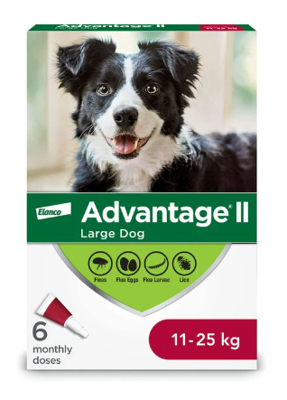 Canine Advantage