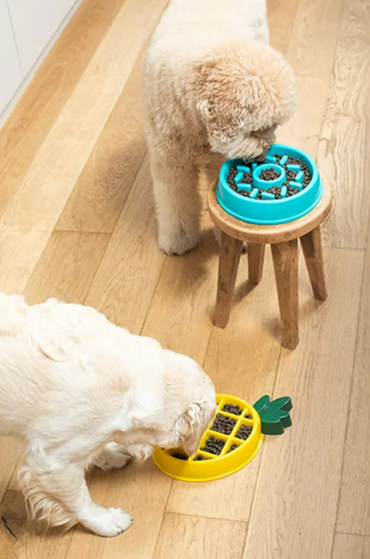 Zippy Paws - Happy Bowls